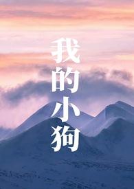 我的小狗丢了用英语怎么说