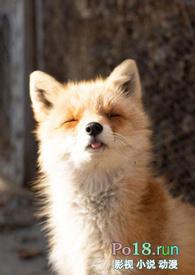 睡了反派男二之后(1v1) 笔趣阁