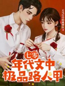 七零年代极品婆婆全文阅读